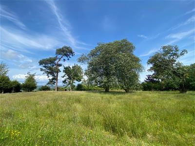 Picture 38